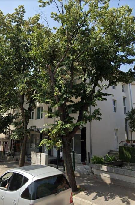 White House Apartments هاسكوفو المظهر الخارجي الصورة